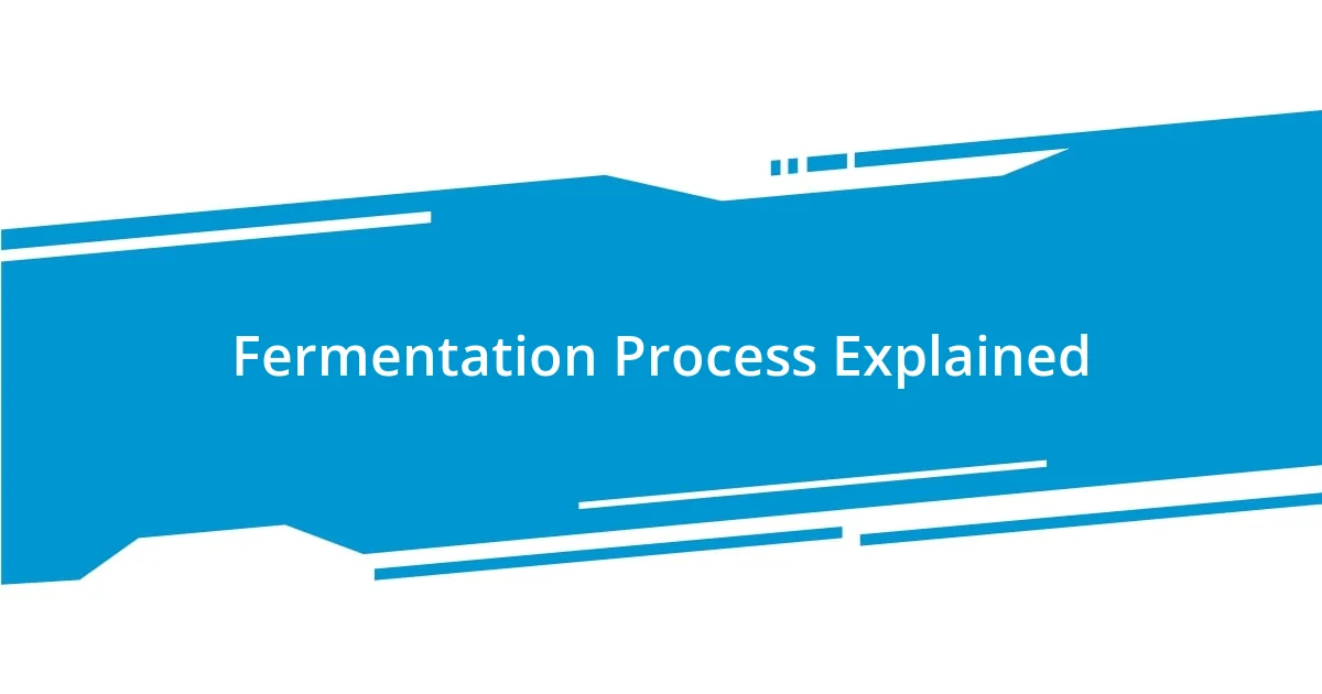 Fermentation Process Explained